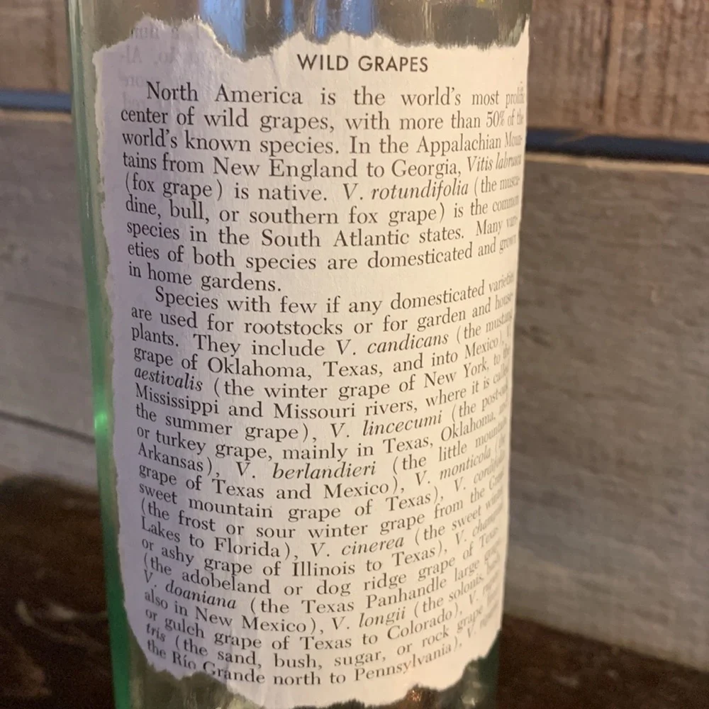 Hand Crafted, upcycled decoupage Wine Bottle lantern on wild grapes